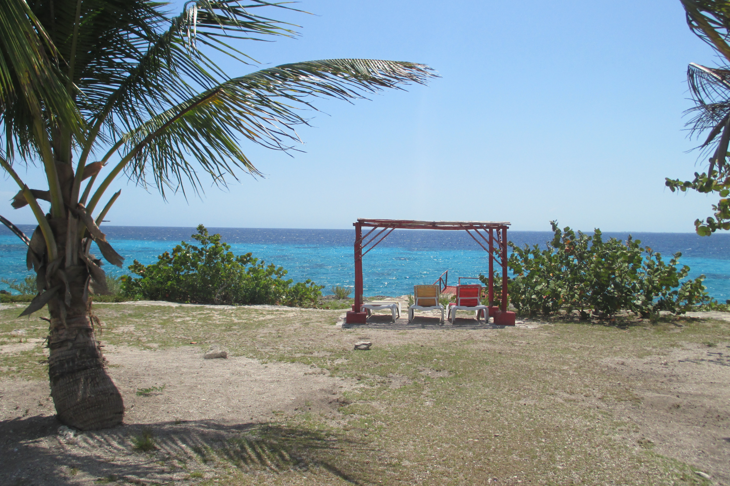 bay of pigs (4).webp